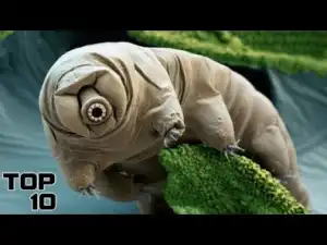 Video: Top 10 Rarest Viruses Found In Humans - Part 2